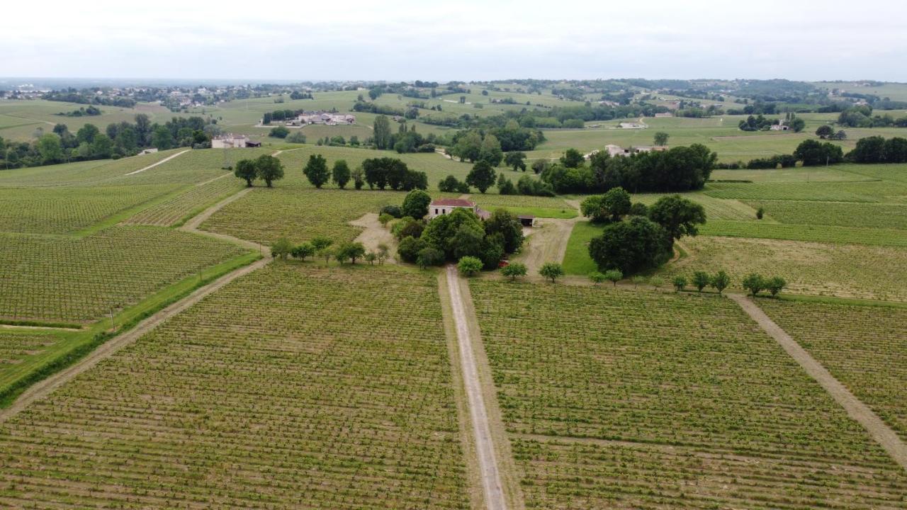 Chateau Monichot Organic Vineyard Tauriac  Luaran gambar